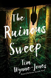The Ruinous Sweep, by Tim Wynne-Jones.